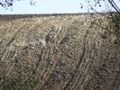 Zdevastovaný půdní blok bez ornice v Šardicích na Hodonínsku.