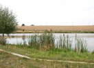 Zádržný rybník v krajině. Foto: Archiv Františka Havláta
