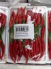 Bazalka_Chilli_Vietnam