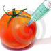 GMO rajče