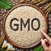 GMO GMO